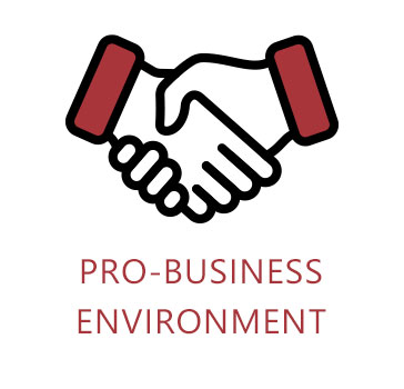 Pro Business Environment