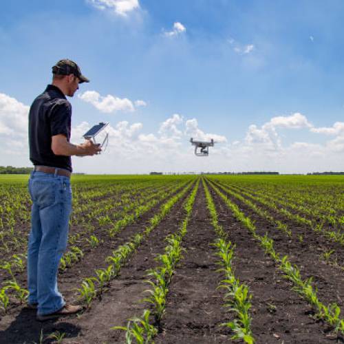 Small unmanned craft used to check crops