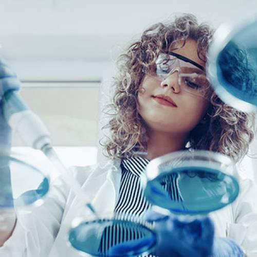 Youth & Careers Image