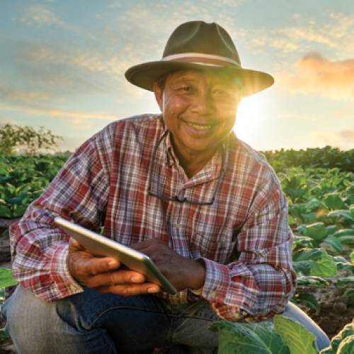 Global Talent Office Image