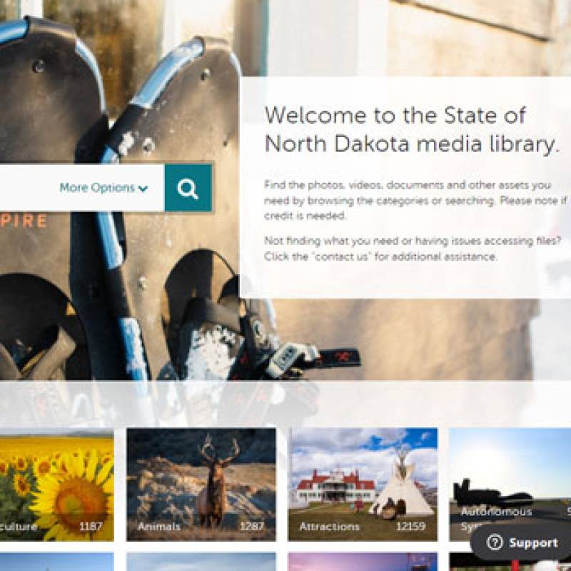 Welcome screen of the State Media Library