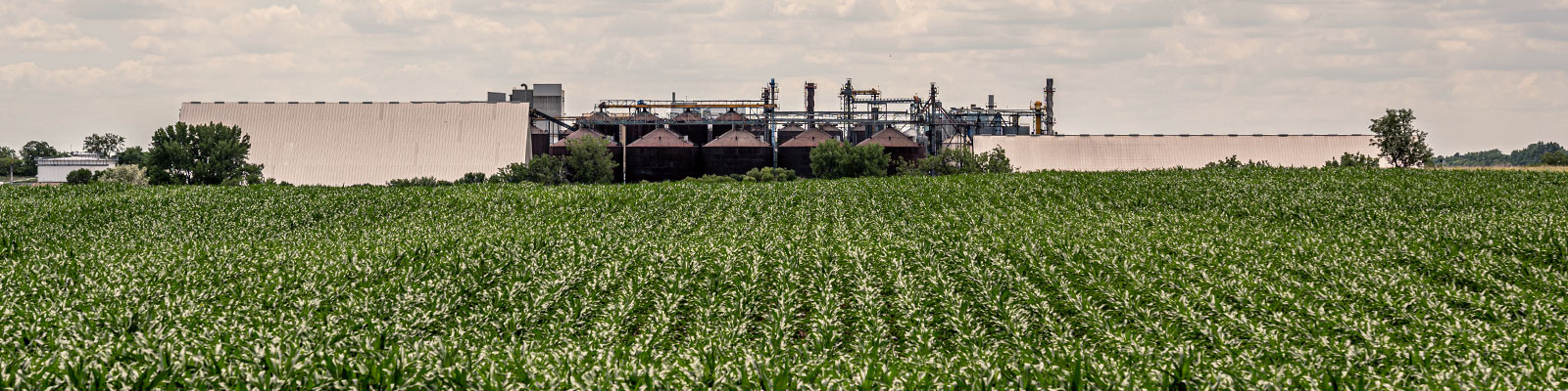 AMD Soybean processing facility