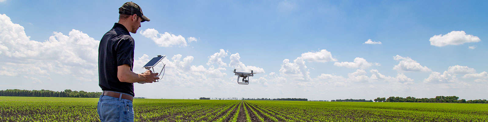 Farmer uses a small drone to check fields